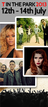 T20 TinThePark 2013